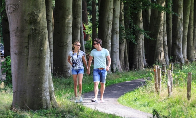 Studio De Bilt: wandelen in het Utrechts Landschap