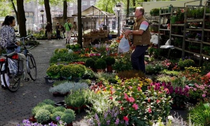 bloemenmarkt janskerkhof utrecht