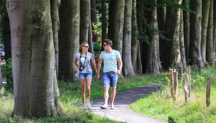 Studio De Bilt: wandelen in het Utrechts Landschap