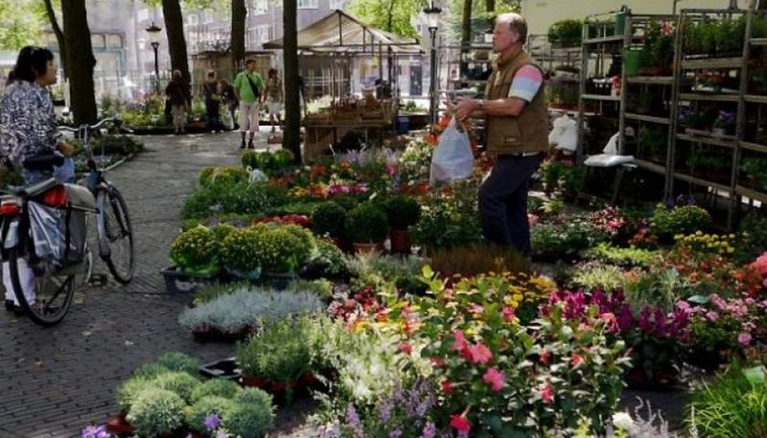 bloemenmarkt janskerkhof utrecht